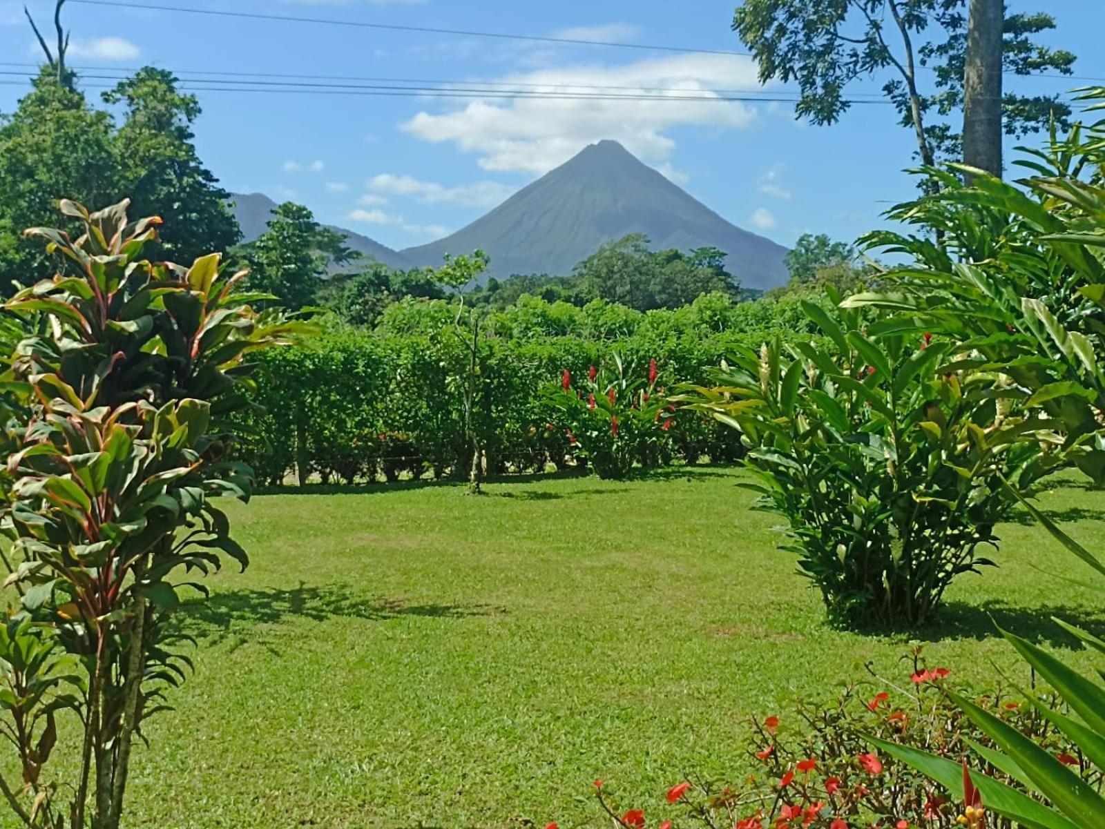 Villa Ceiba La Fortuna Bagian luar foto